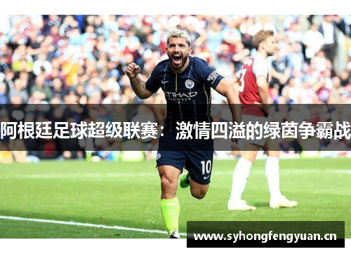 阿根廷足球超级联赛：激情四溢的绿茵争霸战