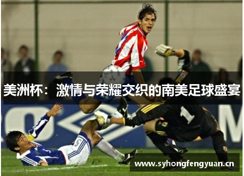 美洲杯：激情与荣耀交织的南美足球盛宴