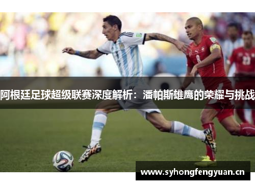 阿根廷足球超级联赛深度解析：潘帕斯雄鹰的荣耀与挑战