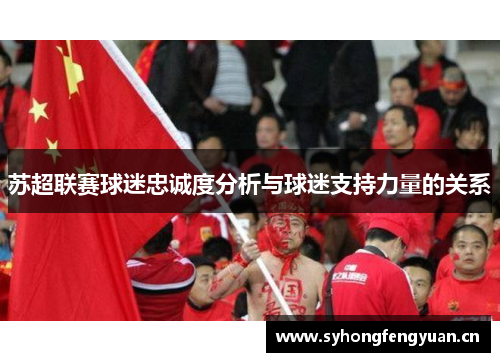 苏超联赛球迷忠诚度分析与球迷支持力量的关系